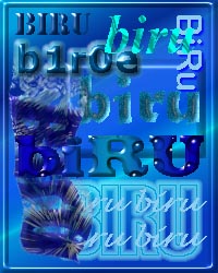 biru